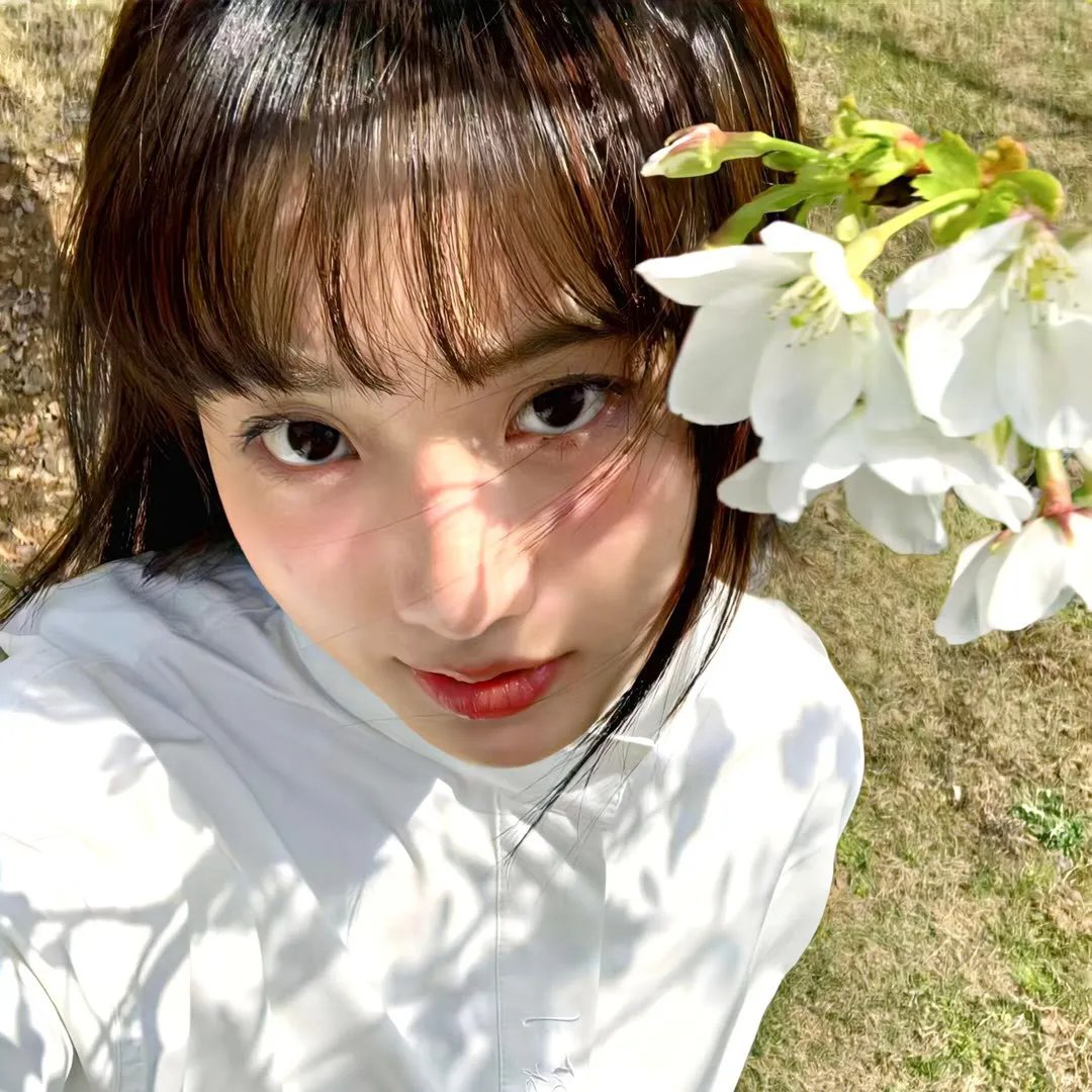 梦幻书院第六季