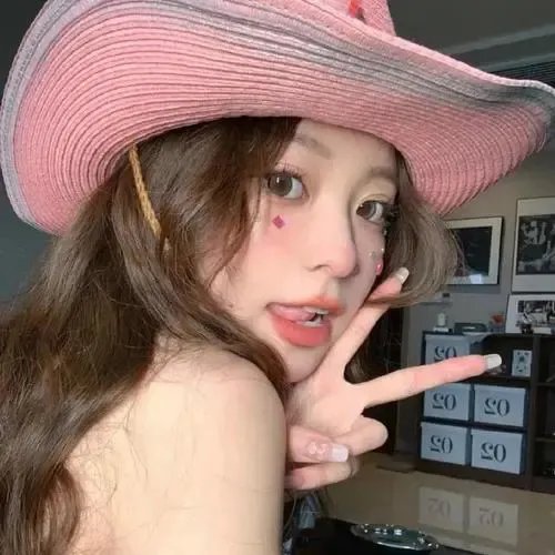 希区柯克与特吕弗国语